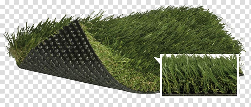 Lawn Artificial turf Fescues Thatch Polypropylene, others transparent background PNG clipart