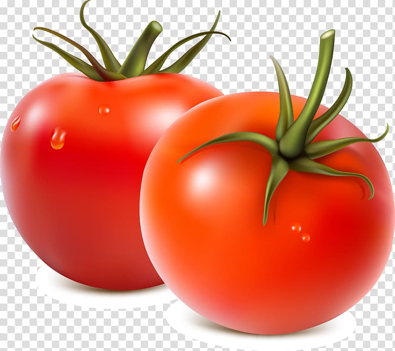 Fruit salad Vegetable Tomato, red,tomato transparent background PNG clipart