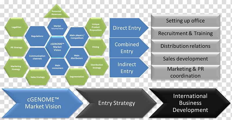 Go to market Market entry strategy Marketing strategy Marketing plan, Coaching Service transparent background PNG clipart