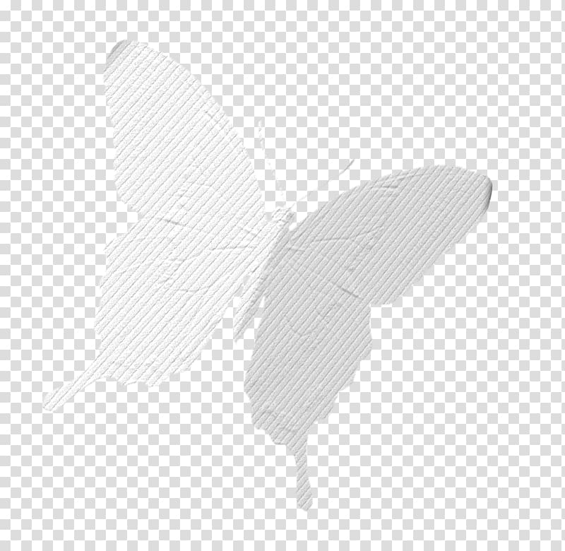 Butterfly Moth White, Texture white butterfly transparent background PNG clipart