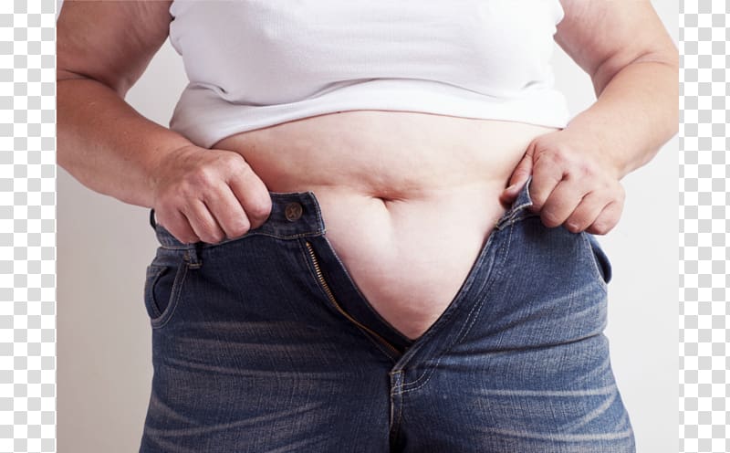 Abdominal obesity Adipose tissue Abdomen Stomach, health transparent background PNG clipart