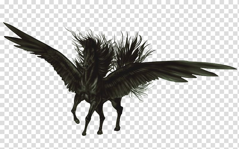 Flying horses Pegasus Aile Black, Gg transparent background PNG clipart