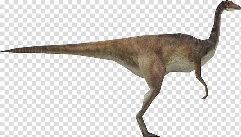 Velociraptor Jurassic Park: Operation Genesis Gallimimus Edmontosaurus Brachiosaurus, gallimimus size transparent background PNG clipart