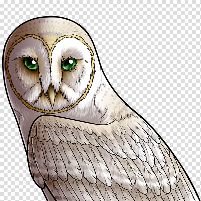 Owl Beak Bird Feather Eye, owl transparent background PNG clipart