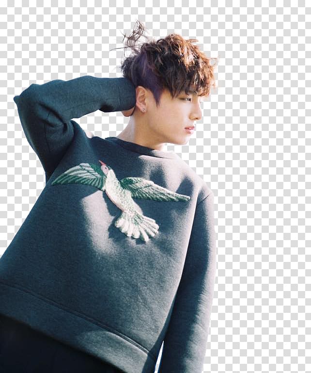 Jungkook The Most Beautiful Moment in Life: Young Forever BTS Epilogue: Young Forever BigHit Entertainment Co., Ltd., others transparent background PNG clipart