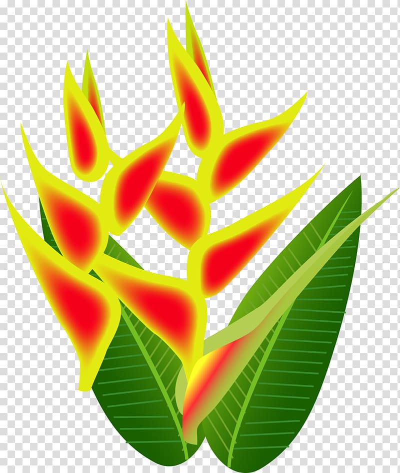 Lobster-claws Leaf Petal Plant stem, Leaf transparent background PNG clipart