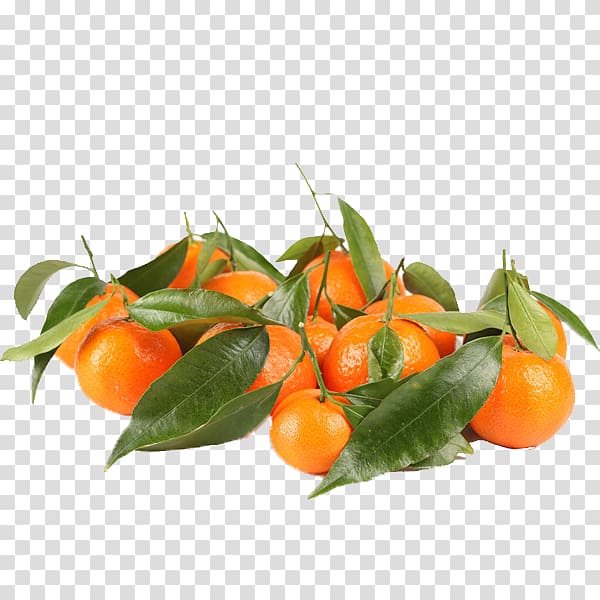 Clementine Tangerine Orange Fruit Food, Sand candy transparent background PNG clipart