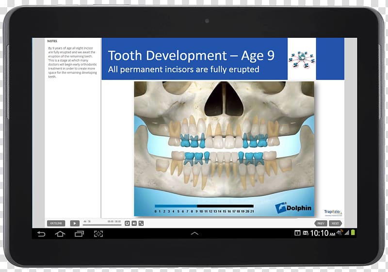 Orthodontics Trapezio, Academy Of Orthodontic Assisting Jaw Dentistry American Association of Orthodontists, others transparent background PNG clipart