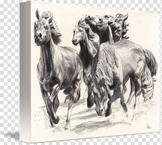 Mustangs at Las Colinas The Mustangs of Las Colinas Canvas print Drawing, david blaine transparent background PNG clipart