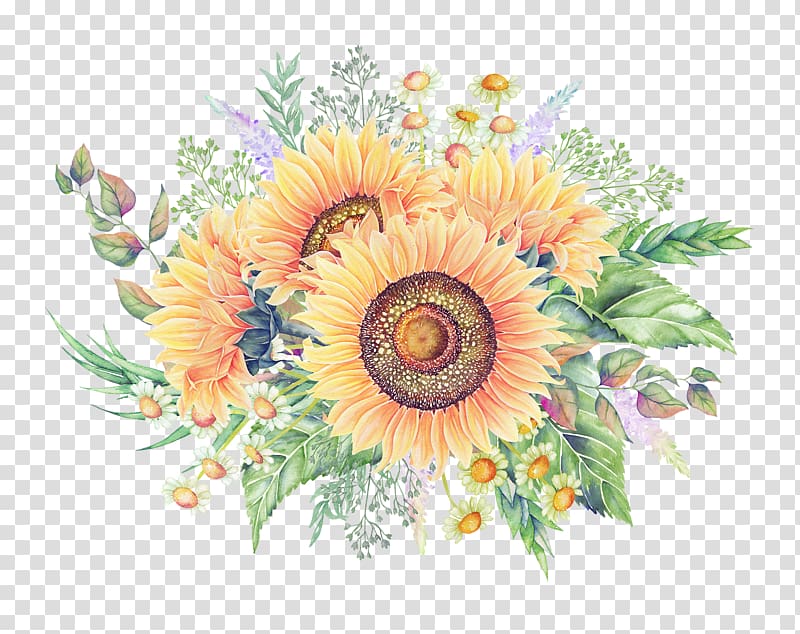 Common sunflower Cartoon, Sunflower decorative patterns transparent background PNG clipart