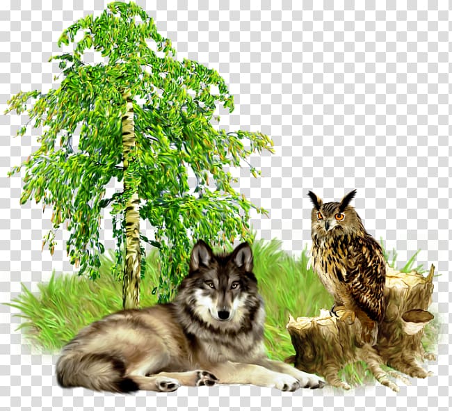 .de Little Owl , Hand-painted trees wolf transparent background PNG clipart