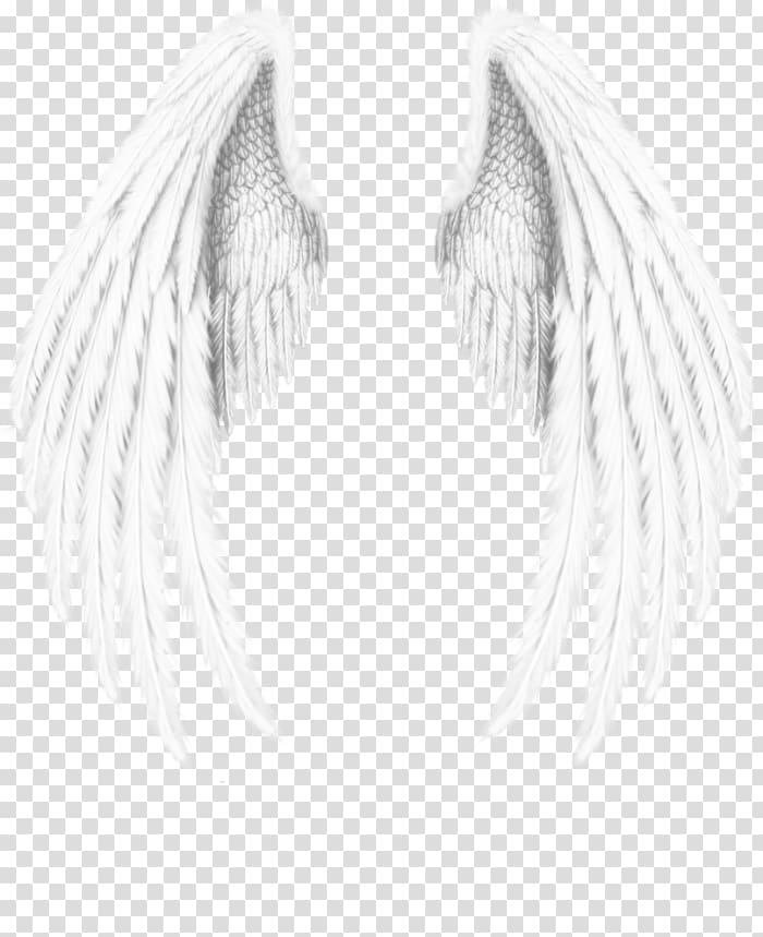 Angel wing , angel wings transparent background PNG clipart