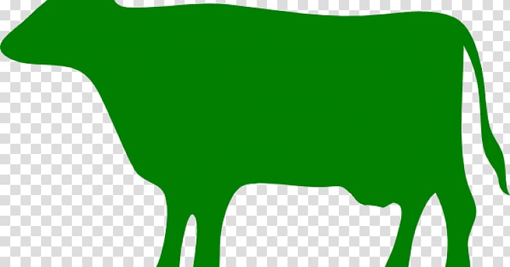 Beef cattle Dairy cattle Taurine cattle Ox , various angles transparent background PNG clipart