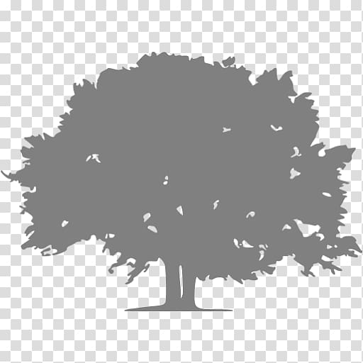 Stage lighting instrument Tree Garden Wood, tree transparent background PNG clipart