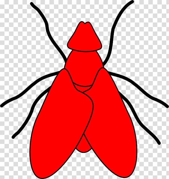 Fly , flies transparent background PNG clipart Fly , flies transparent background PNG clipart