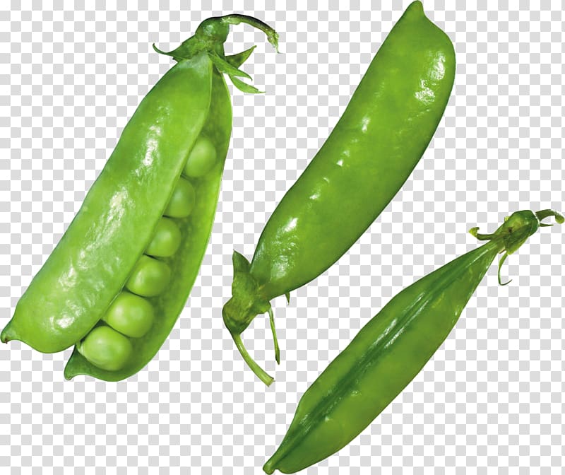 Pea transparent background PNG clipart