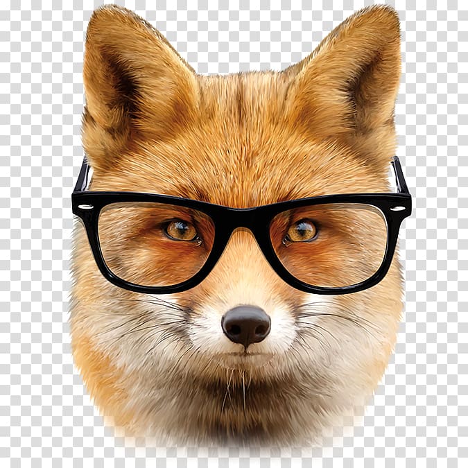 Roblox Arctic Fox transparent PNG - StickPNG