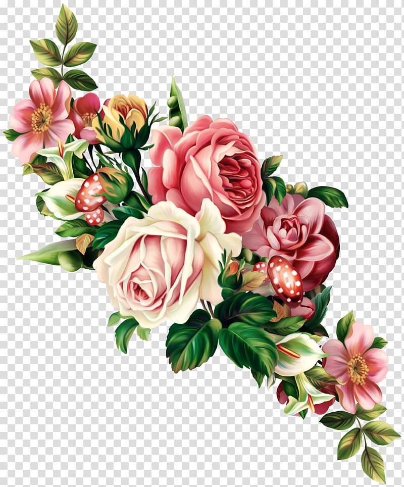 Vintage Roses: Beautiful Varieties for Home and Garden Flower , Rose, red and white rose flower transparent background PNG clipart