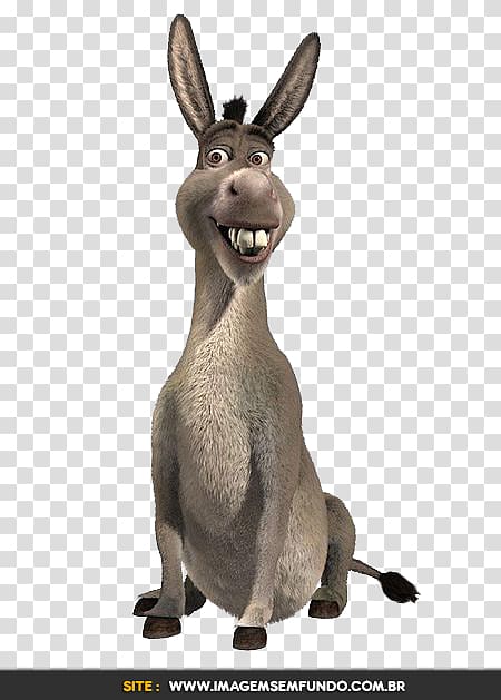 Download Download - Shrek And Donkey Png PNG Image with No Background 