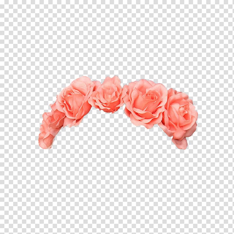 several pink roses, T-shirt Flower Crown, Crown Of Flowers transparent background PNG clipart