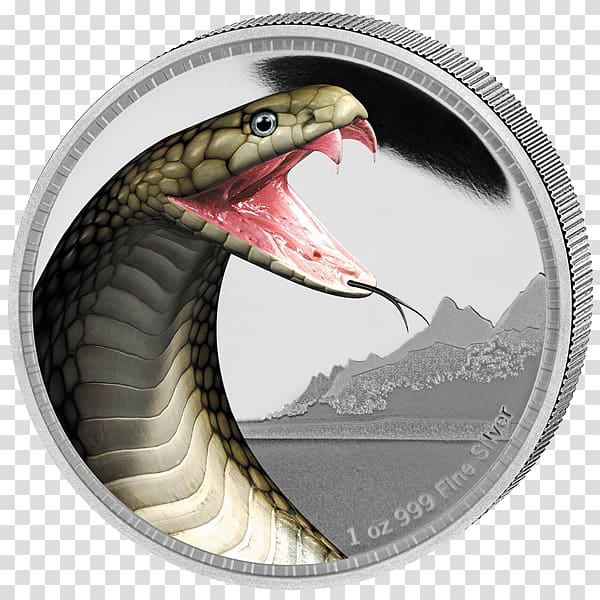 Snake King cobra Silver coin Silver coin, snake transparent background PNG clipart