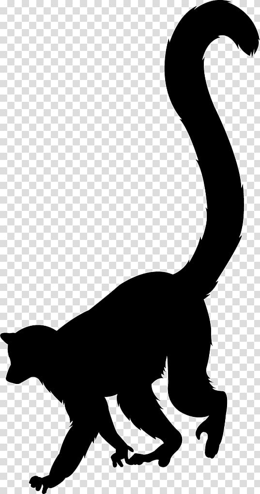 Cat Lemurs Silhouette Ring-tailed lemur , Cat transparent background PNG clipart