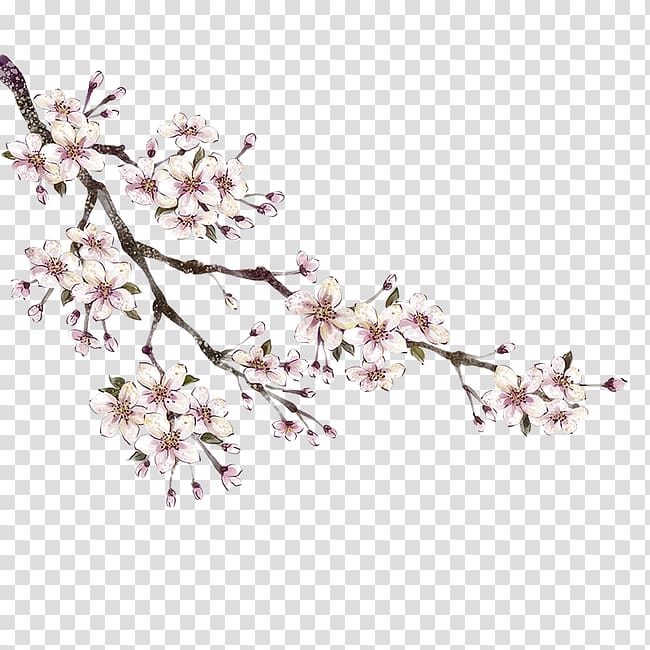 white flowers, Peach , Peach branches transparent background PNG clipart