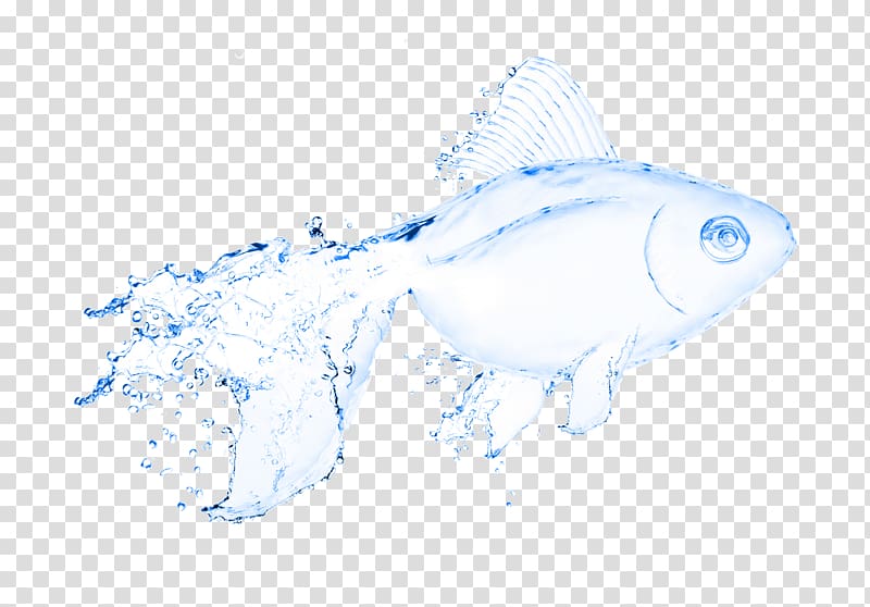 Water Fish Illustration, fish transparent background PNG clipart