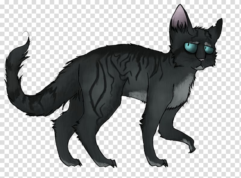 Cat Warriors Darkstripe Crowfeather Ferncloud, dark blue background transparent background PNG clipart