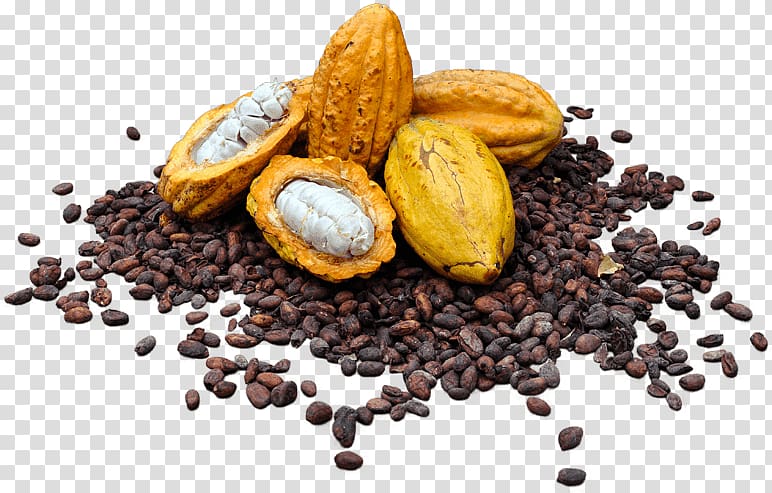 Cocoa bean Cocoa solids Raw chocolate Raw foodism, chocolate transparent background PNG clipart
