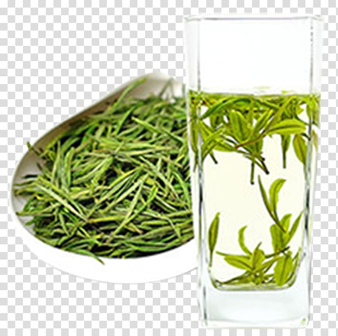 White tea Gyokuro Anji County Hu014djicha, Tea and tea transparent background PNG clipart