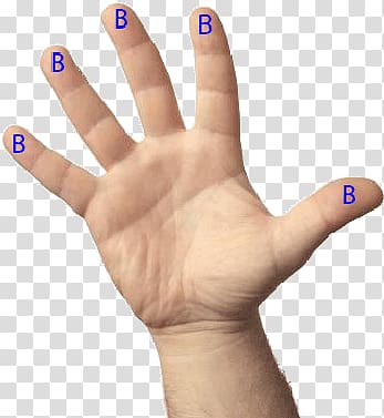 Digit Hand Little finger, hand transparent background PNG clipart