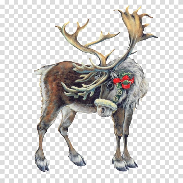 Pxe8re Noxebl Lapland Reindeer Santa Claus Christmas, deer transparent background PNG clipart
