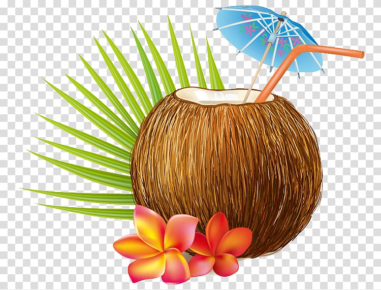 brown coconut illustration, Cocktail Coconut water Coconut milk, coconut transparent background PNG clipart