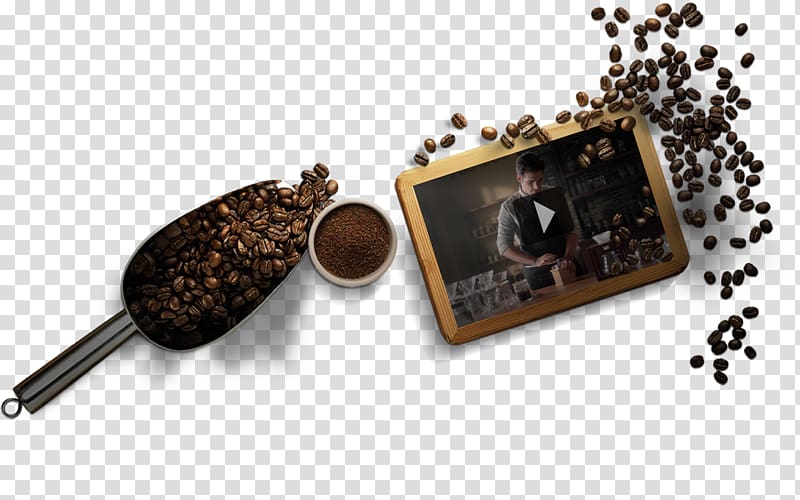 Coffee bean Latte Ubon Ratchathani Province Sea level, Coffee transparent background PNG clipart