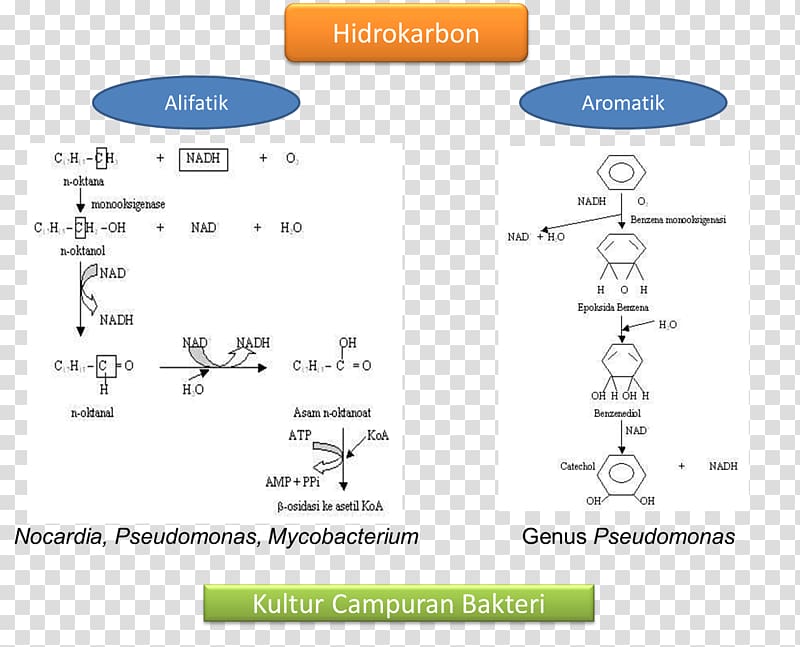 Technology Hydrocarbon Aliphatic compound Angle, technology transparent background PNG clipart