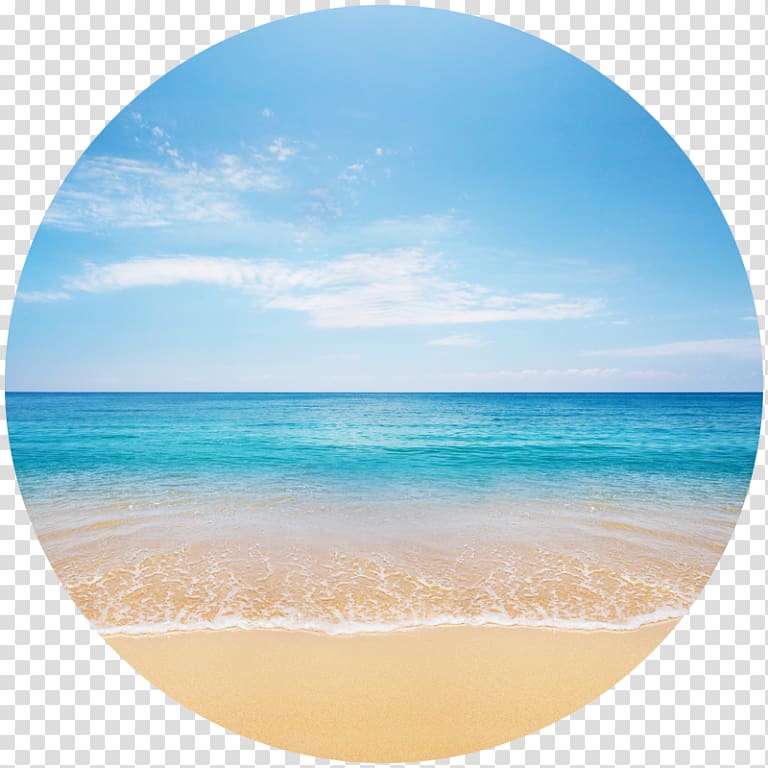 Beach Shore , beach transparent background PNG clipart