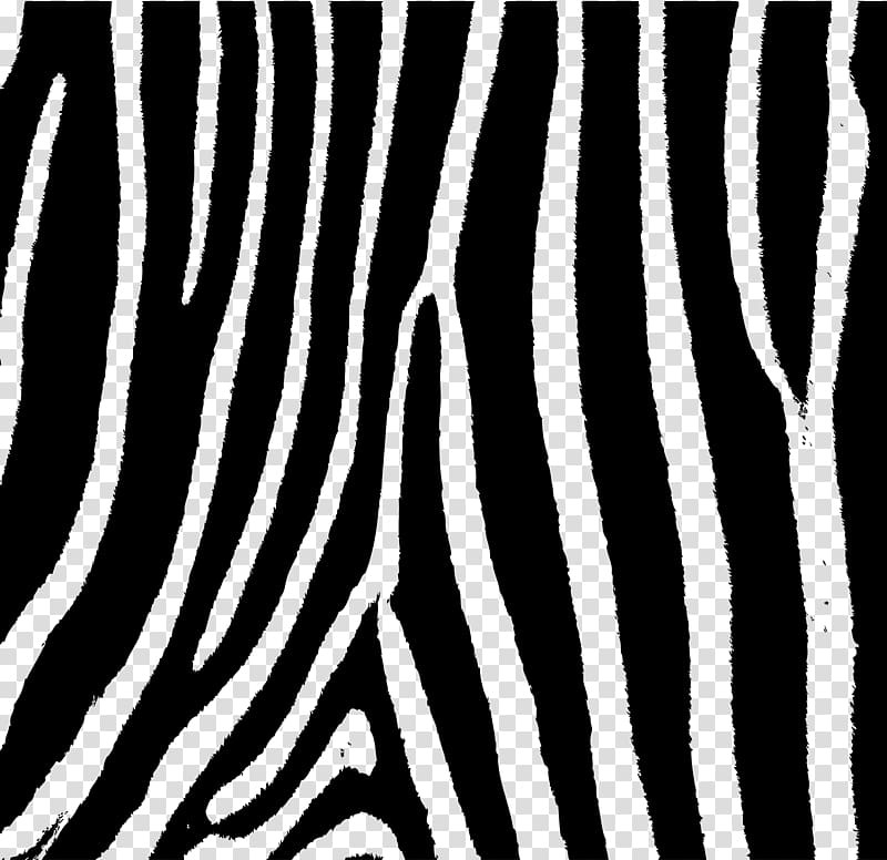 Zebra patterning Stripe, Zebra transparent background PNG clipart