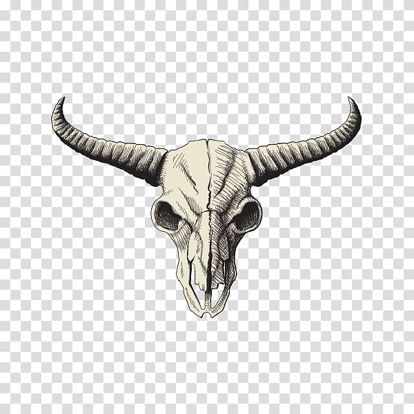 Skull American bison Drawing , skull transparent background PNG clipart