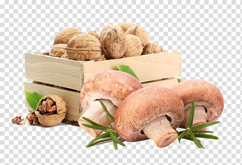 Walnut Juglans Food Drink Agy, Mushrooms and walnuts transparent background PNG clipart