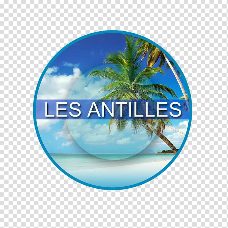 Antilles Collectivity of Saint Martin Martinique Marie-Galante Saint Barthélemy, map transparent background PNG clipart