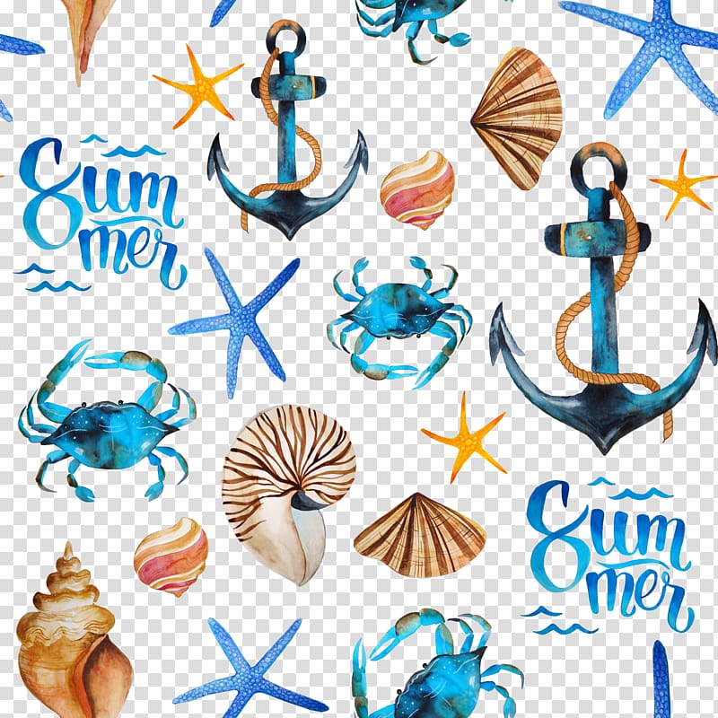 seashells and anchors illustrations, Paper Beach Gift Textile Seashell, Shading sea creatures transparent background PNG clipart