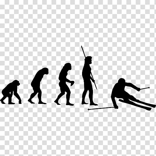T-shirt Evolution Biathlon rifle The Ministry of Silly Walks, T-shirt transparent background PNG clipart
