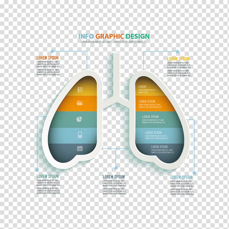 Lung cancer Euclidean , lung information map transparent background PNG clipart