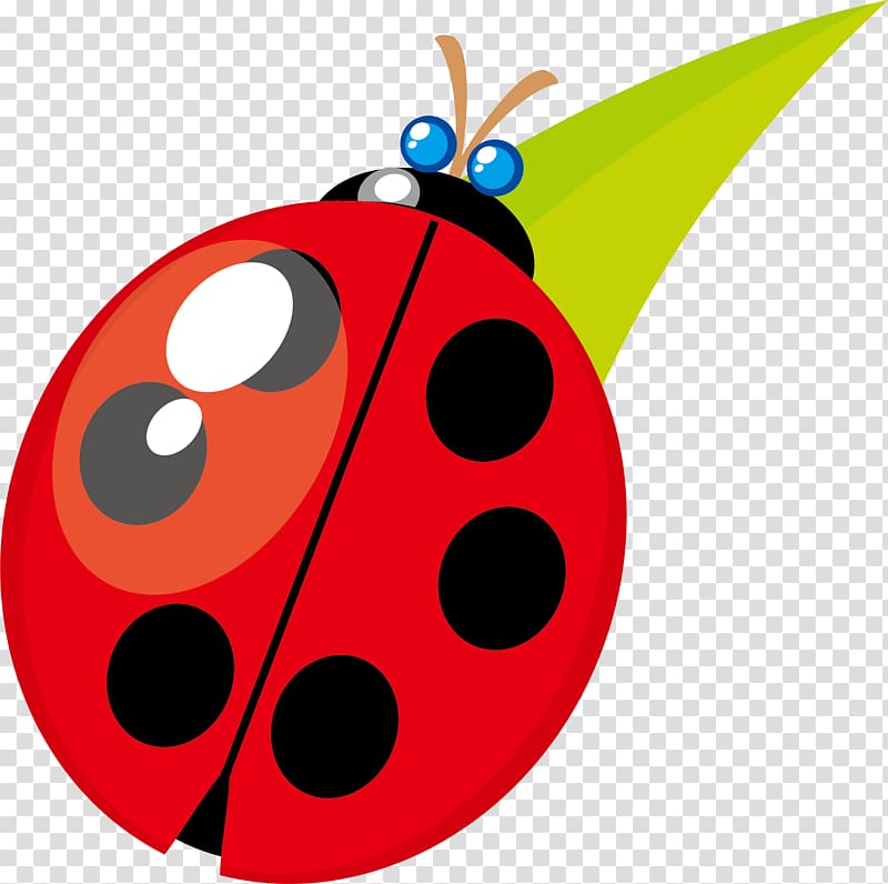 Beetle Ladybird , Ladybug material transparent background PNG clipart