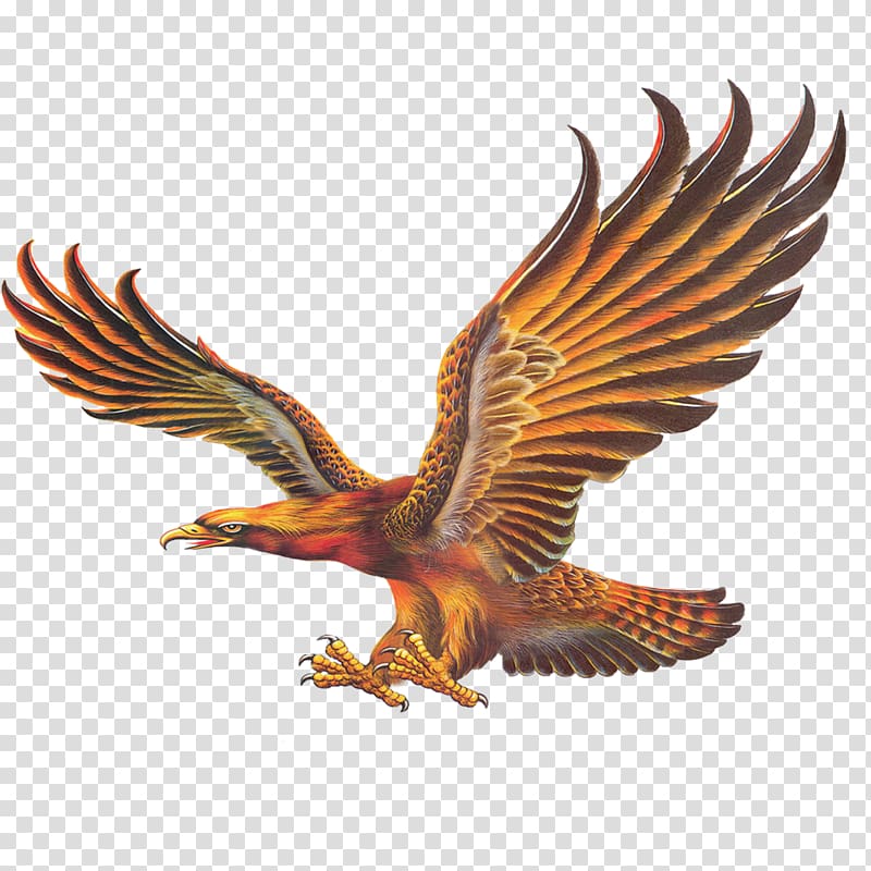 brown eagle illustration, Chinese painting Mural Eagle , eagle transparent background PNG clipart