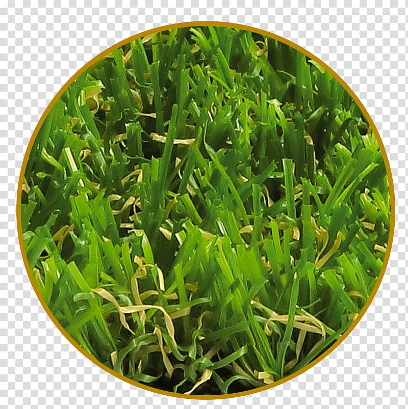 Artificial turf Garden Lawn Meadow Vegetarian cuisine, Green landscape transparent background PNG clipart