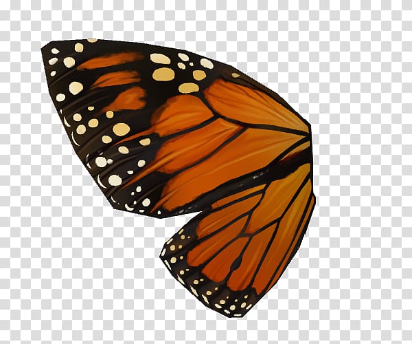 Monarch butterfly Pieridae Brush-footed butterflies, butterfly transparent background PNG clipart