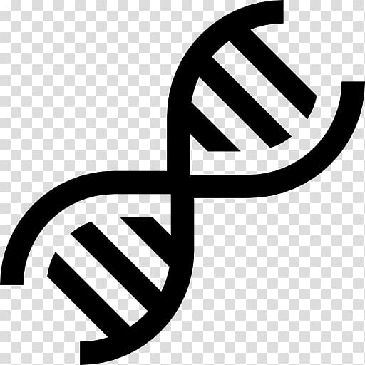 DNA Computer Icons Medicine Science Nucleic acid double helix, dna structure human transparent background PNG clipart