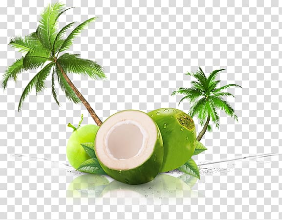 coconut , Coconut water Coconut milk Thai cuisine Juice, juice transparent background PNG clipart